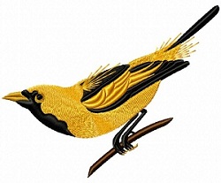 Golden Haired Flycatcher 