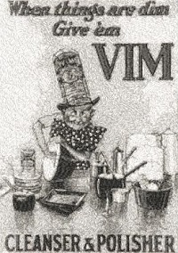 Vim Cleaner 