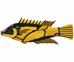 Renards Fanciful Fish9 