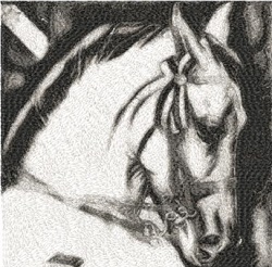 Horse Illustration 