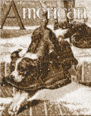 Vintage American Magazine Cover 