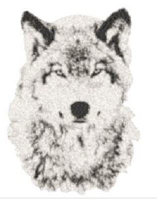 Wolf 3170 