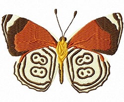 88 Butterfly 