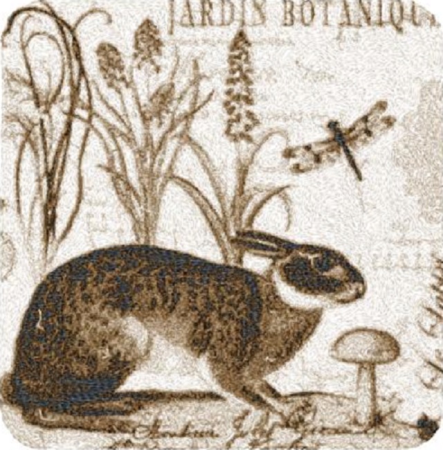 Jordan Botanique 