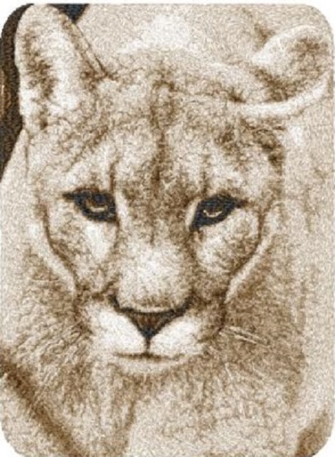 Cougar 