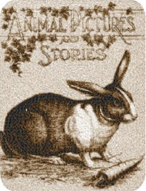 Animal Pictures and Stories 