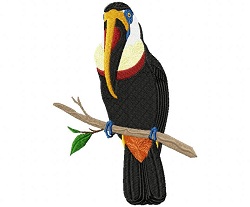 Inca Toucan 