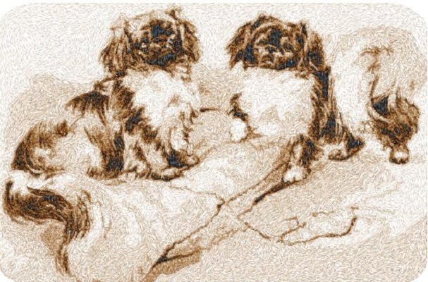 Pekingnese