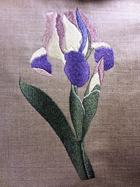 watercolor iris