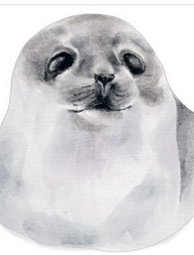 Seal