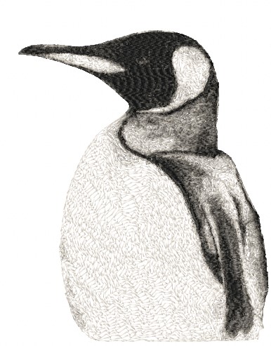 Penguin Profile