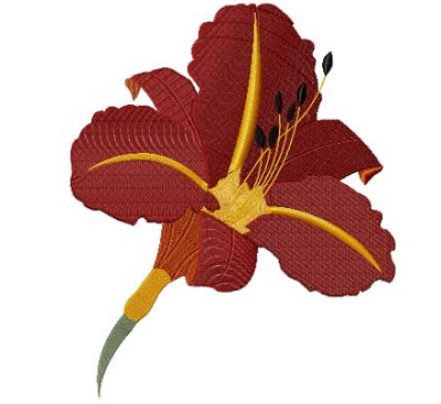 Tawny Day Lily Version 2 