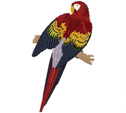 Red and Yellow Macaw 