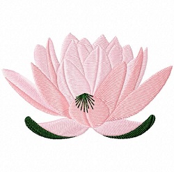 Lotus 