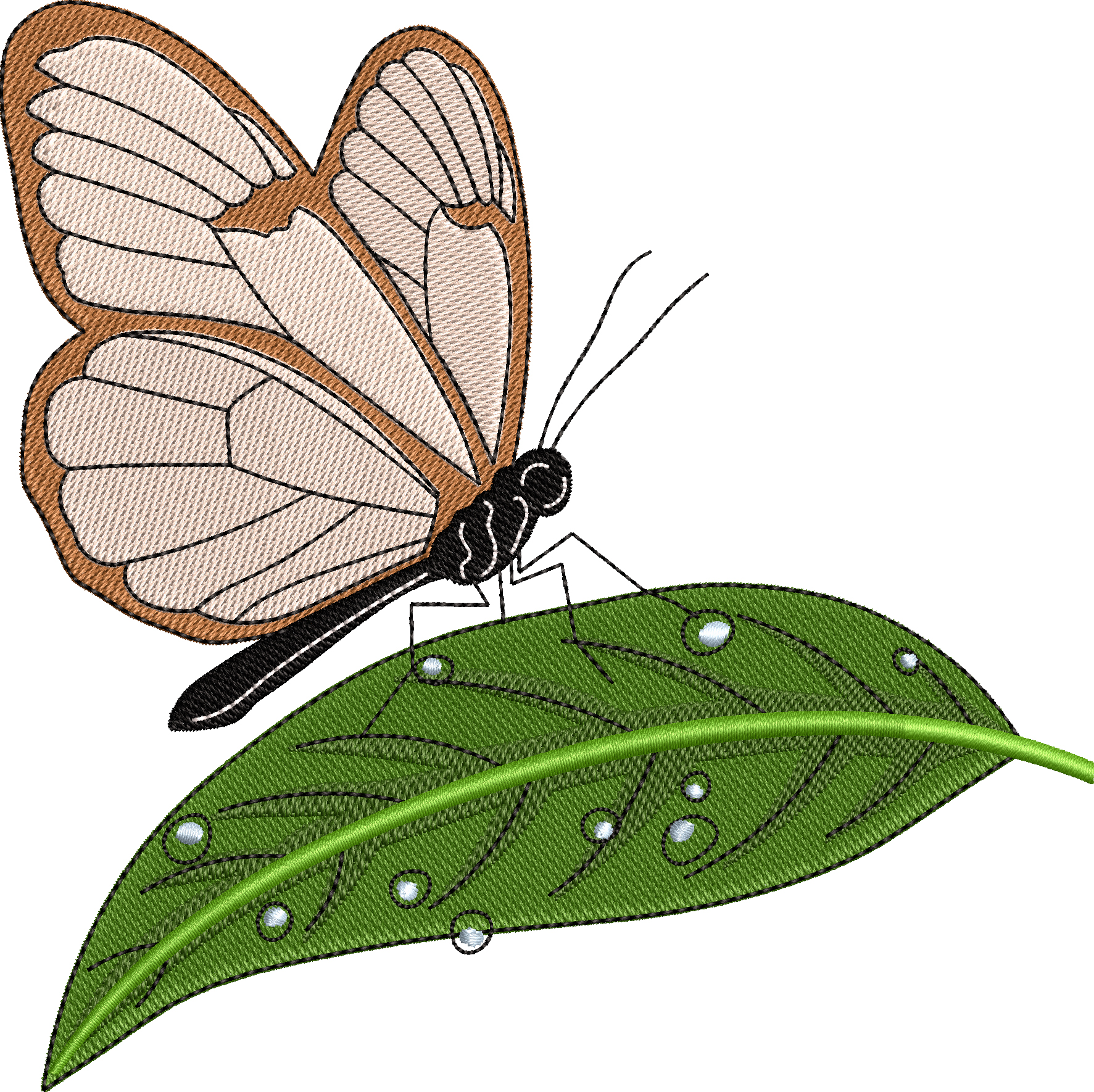 Glasswing butterfly embroidery designs
