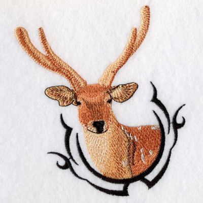 Spotted Deer -7
