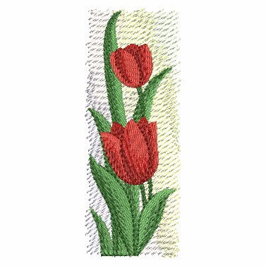 Colorful Tulip 4-4