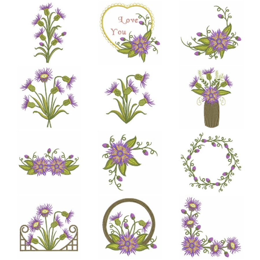 Cornflowers