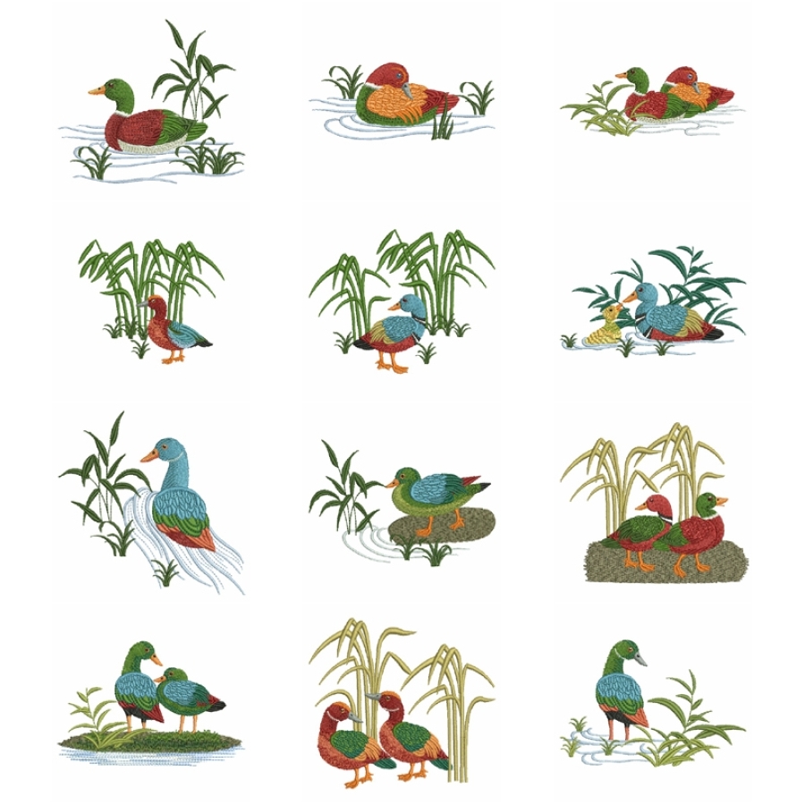 Wood Ducks