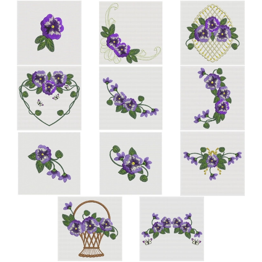 Pansy