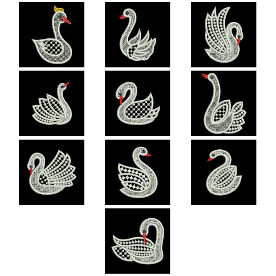 FSL Swan