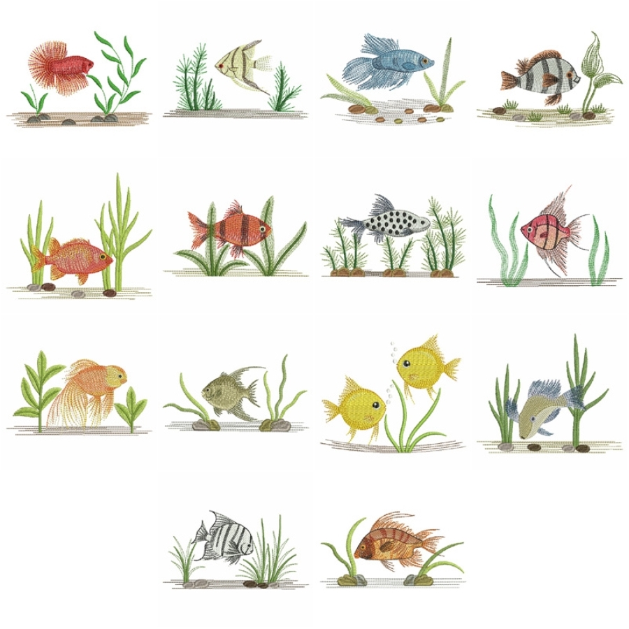 Tropical Fish 