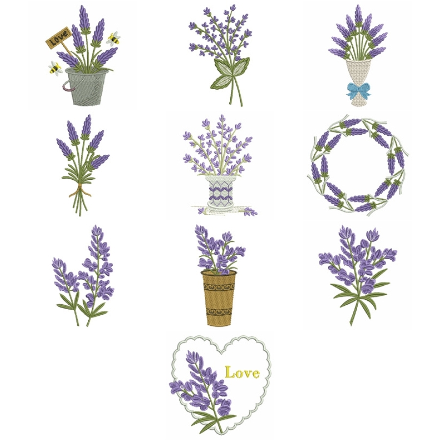 Lavender 