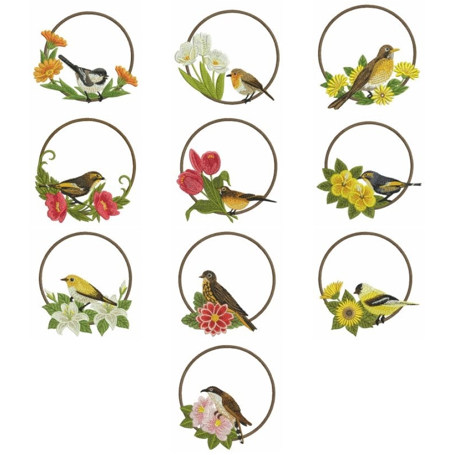 Birds And Blooms 