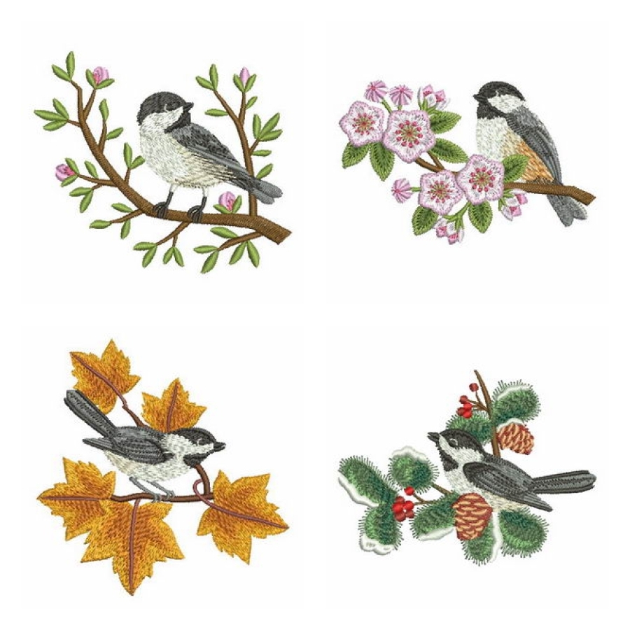 Four Seasons Birds 