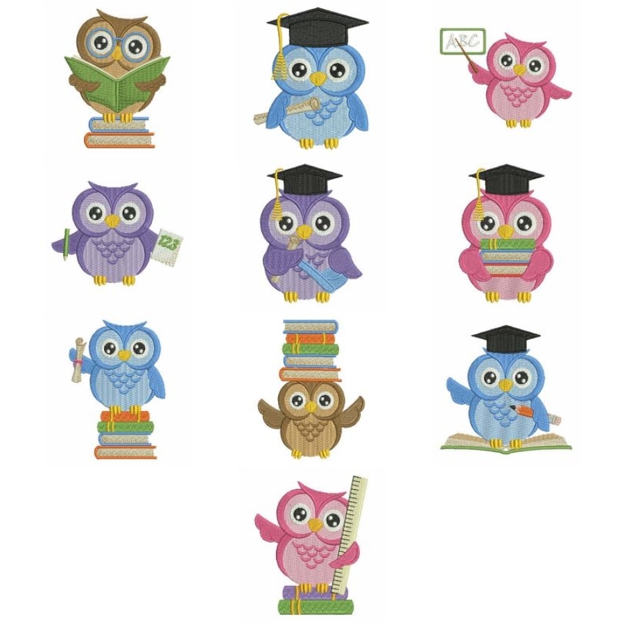 School Baby Owls