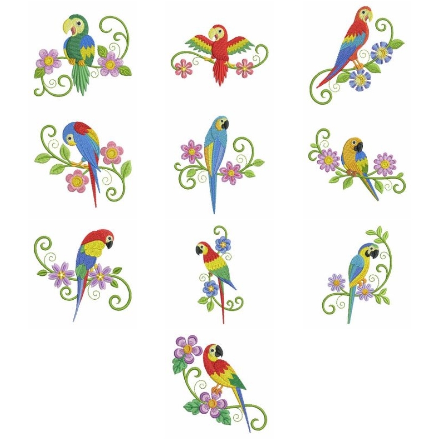Cute Colorful Parrots