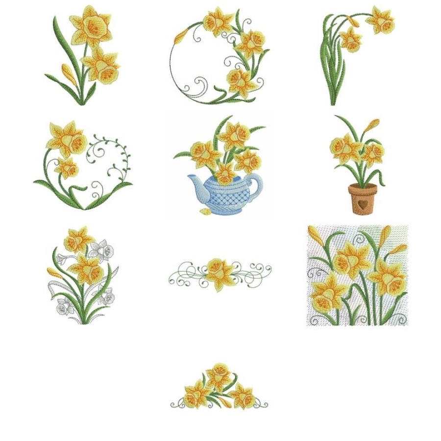 Daffodils 2 