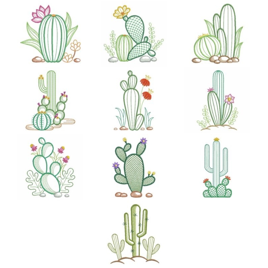 Cactus 2 