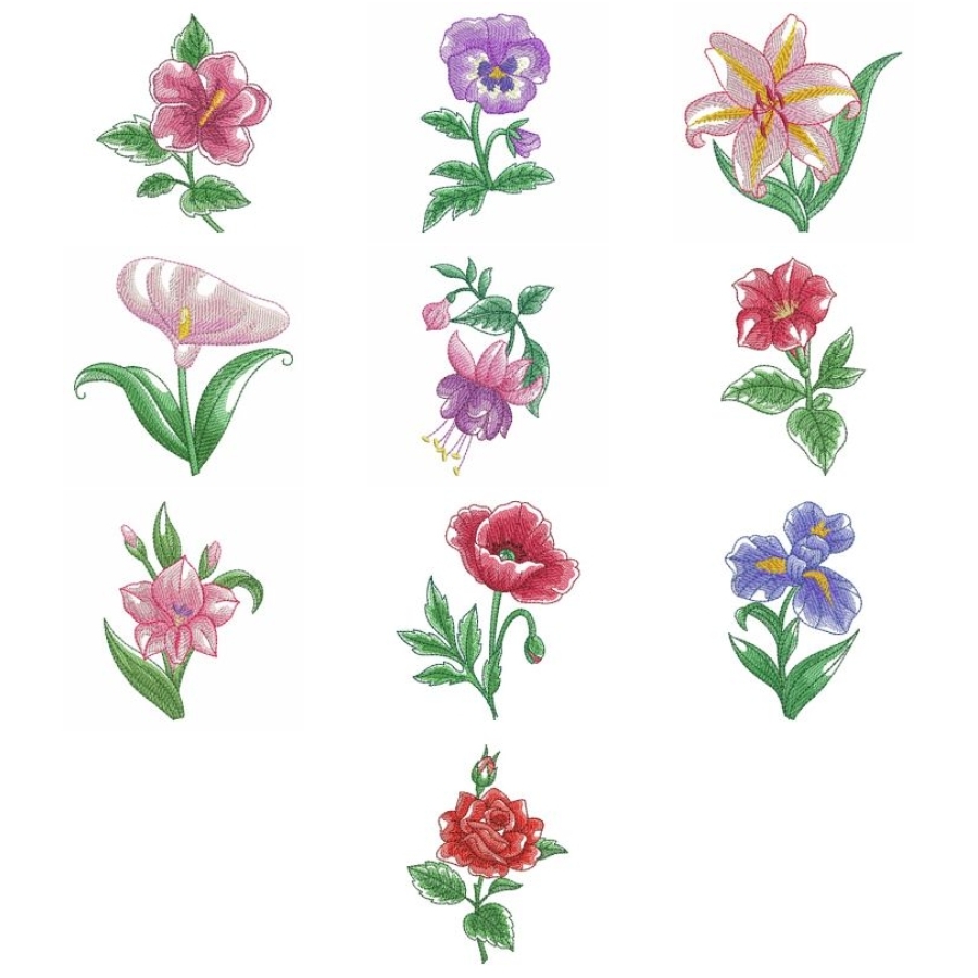 Watercolor Blooms 
