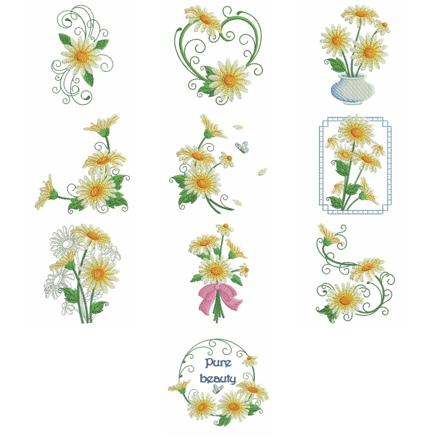 Heirloom Daisy