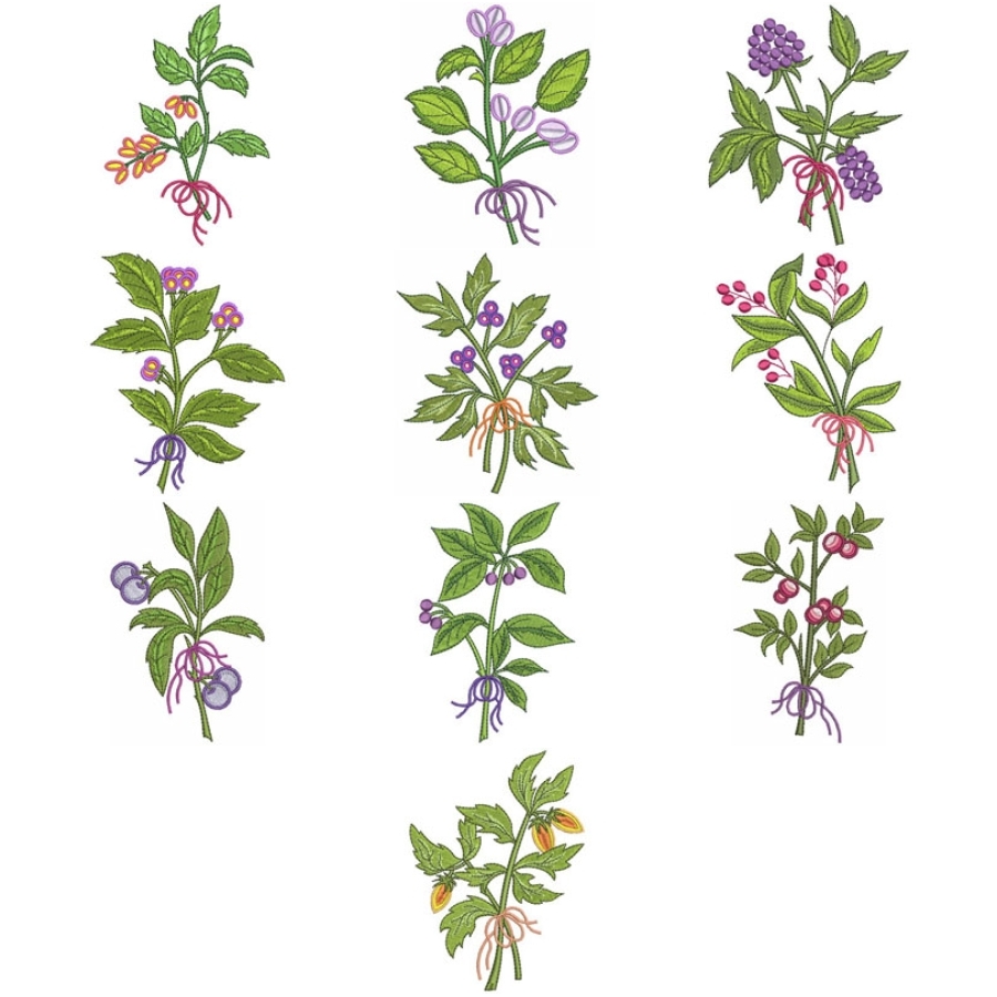 Variegated Plants