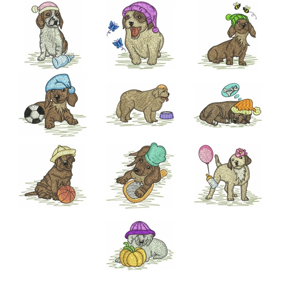 Sweet Puppies