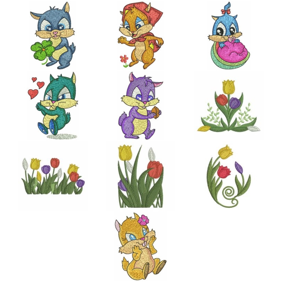 Squirrels
