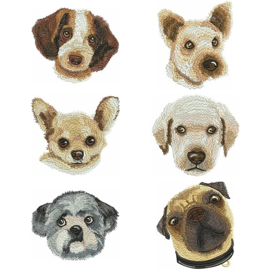 Dogs