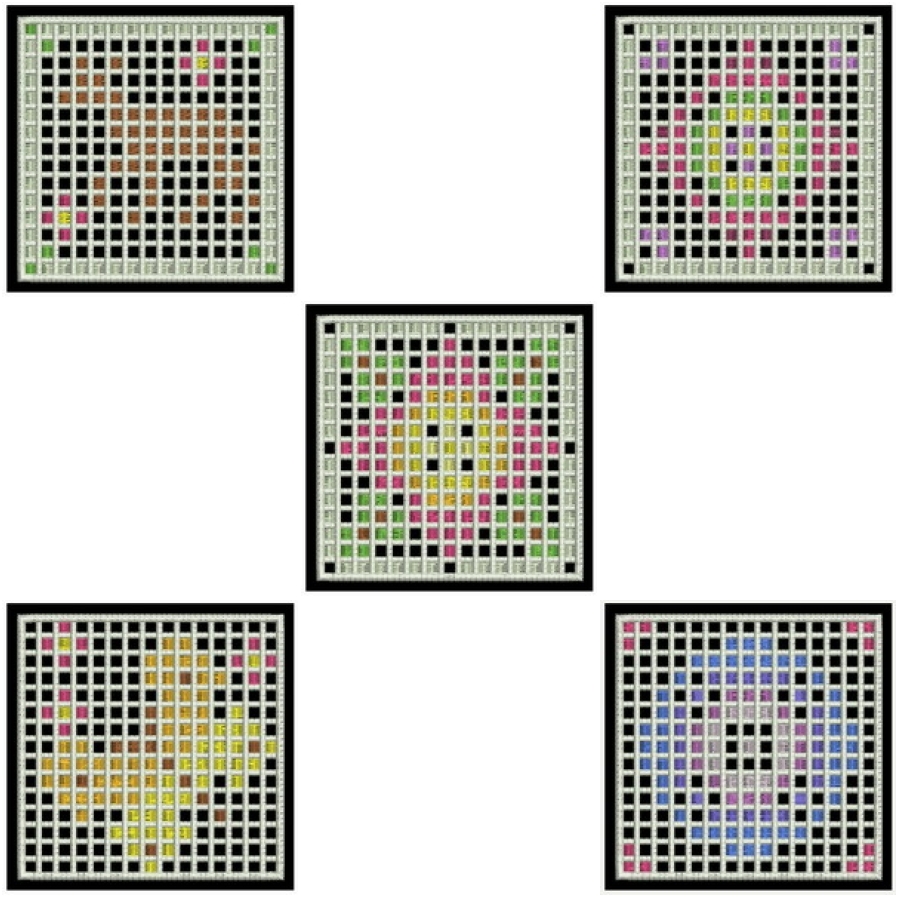 FSL Mosaic Doily