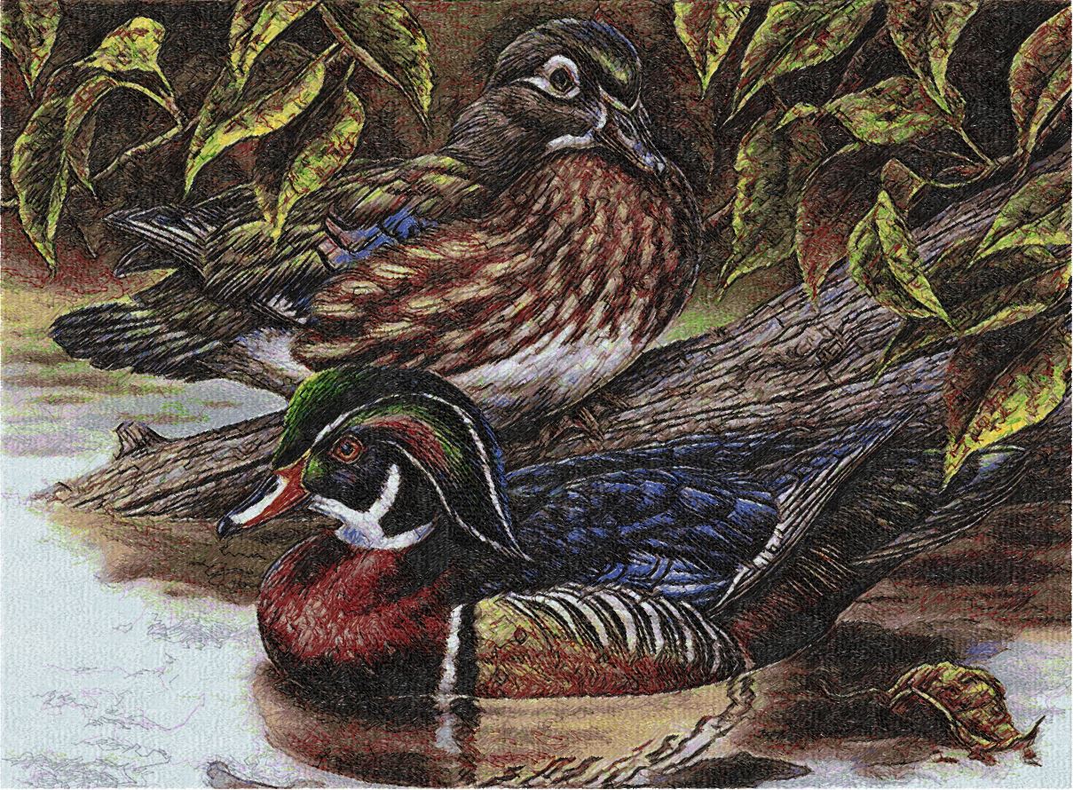 Mandarin Ducks photo stitch 2 sizes-4