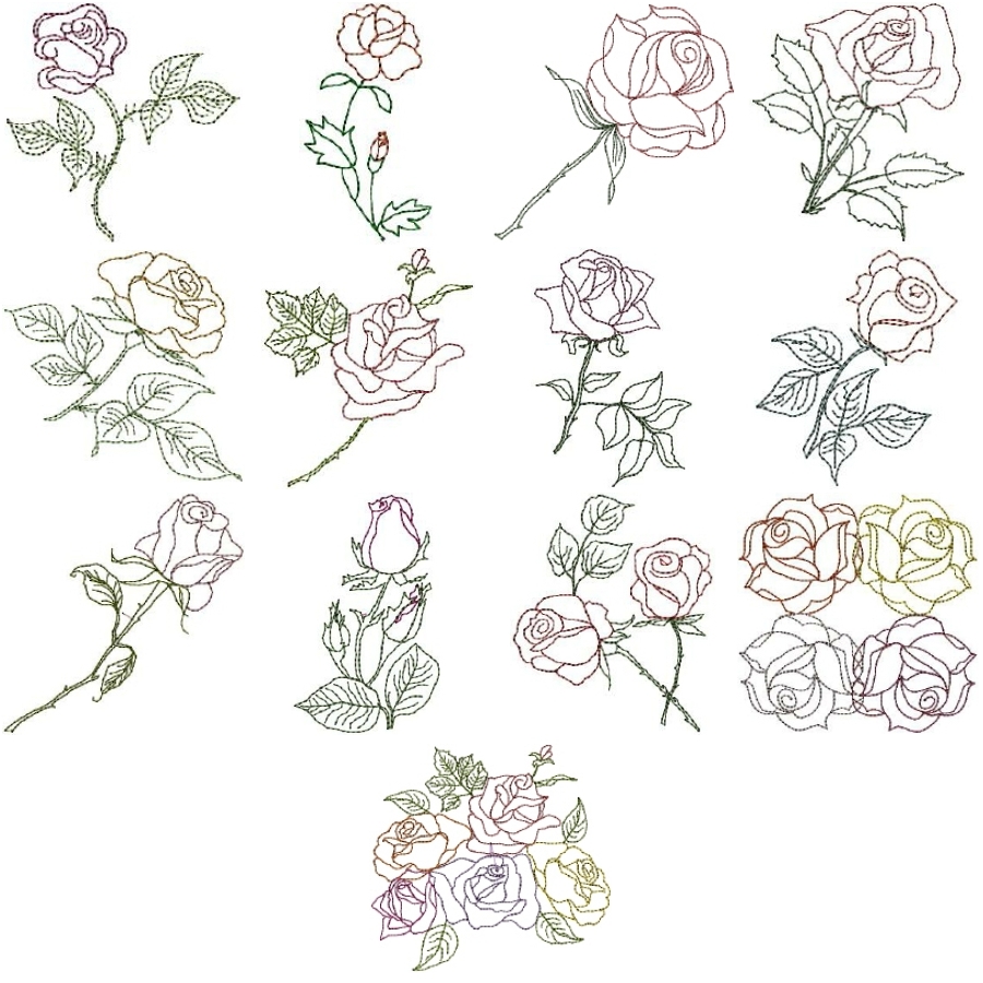 Rose Sketches 