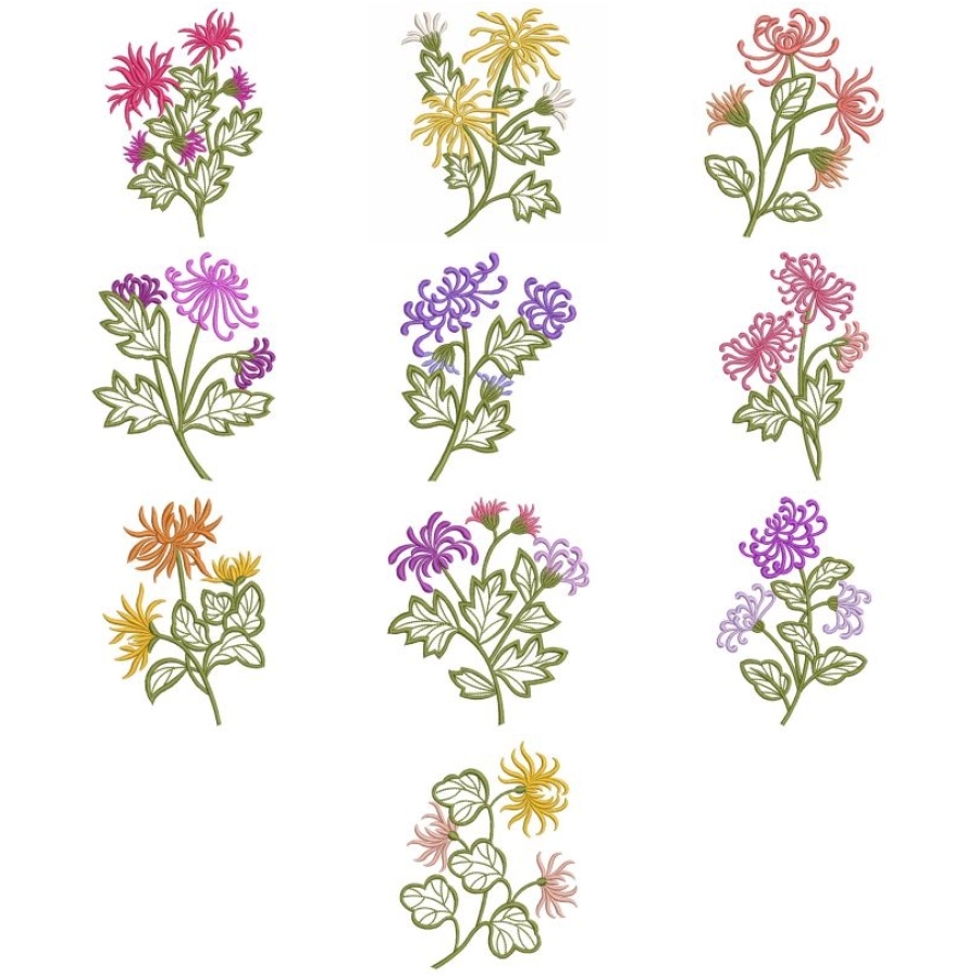 Chrysanthemums 
