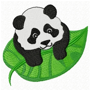 baby panda on leaf design