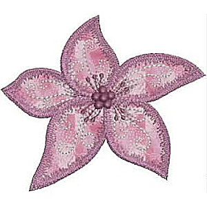 5 point star applique