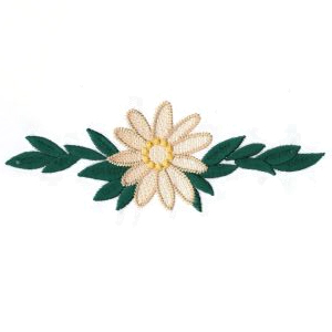 pretty single daisy with leaves on both sides
