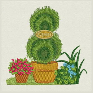 ace points, apothecary bush in pot